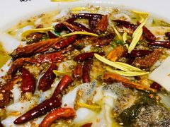 老坛子酸菜鱼-太二酸菜鱼(汕头苏宁广场店)