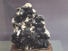 -湖南省地质博物馆