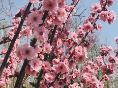 -济南植物园
