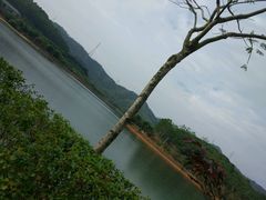 -凤岗南门山森林公园