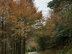 -山王坪喀斯特国家生态公园