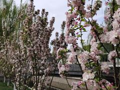 -元大都城垣遗址公园