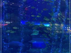 -成都浩海立方海洋公园