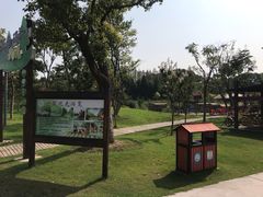 -上海长兴岛郊野公园