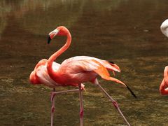 -常州淹城野生动物世界