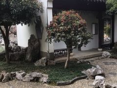-芥子园