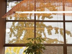 -椿杨樘·明康泡浴养生馆(重庆店)