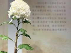 -汇龙潭