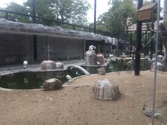 -泉州海丝野生动物世界