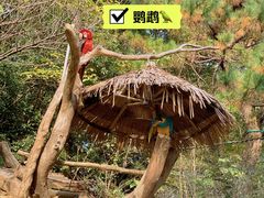 -宁波野生动物园