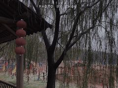 -长兴太湖图影湿地文化园