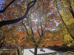 -元大都城垣遗址公园