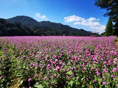 -广州市石门国家森林公园
