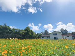 -乌石塘景区