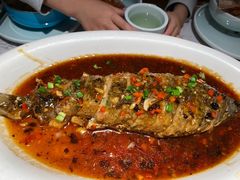 -大榕树下顺德菜(融创茂店)