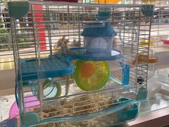 -宠爱我(南山店)