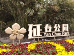 -水丰路鸡蛋饼