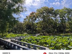 -白塘生态植物园