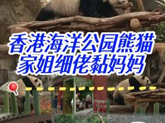 -香港海洋公园