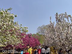-元大都城垣遗址公园