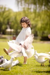 -Angel Fish photography 儿童摄影工作室(亚运村店)