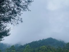 -增城大丰门漂流