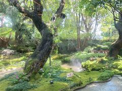 -Chom Cafe and Restaurant