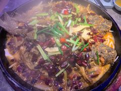 -老板恋上鱼(恒隆广场店)