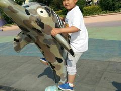 -秦皇岛乐岛海洋王国