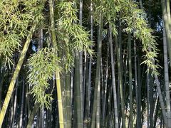 -东方绿舟景区