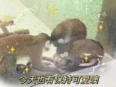 -太原动物园