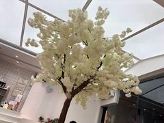 大堂-艾薯夫妇Aysh(福田星河COCOPark店)