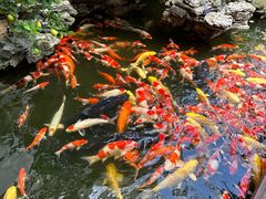 -顺德渔村·岭南一号