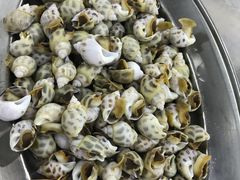 -红月湾海鲜饭店•沙滩海景(双月湾店)