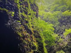 -野三坡百里峡景区