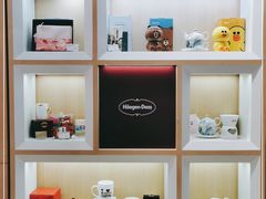 零售区-哈根达斯(芳圆里店)