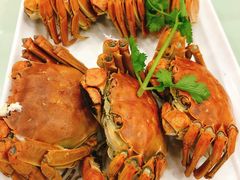 -南庄酒家·海鲜粤菜·25年老字号(环城南路店)