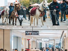 -凯德广场(金牛店)