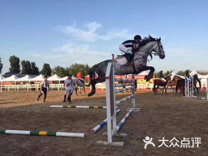 中联骑士联盟马术俱乐部