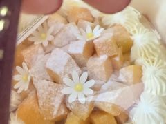 芒果奶油蛋糕-匠造烘焙(联洋店)