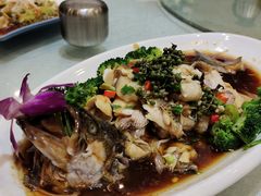 -清雅轩·清真菜·春饼•烤鸭(滑翔店)