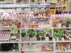 -KKV(上海月星环球港店)