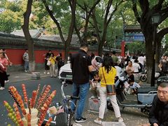 -北京国子监胡同