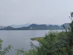 -立新湖公园