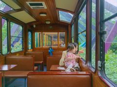 -合肥滨湖国家森林公园