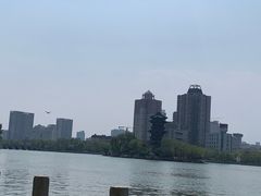 -迎泽公园