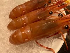 甜虾-川骄海鲜自助(亚运村店)
