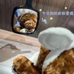 -LUNA皮相美·骨相美高级美感