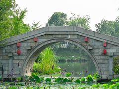 -桃花岛景观公园