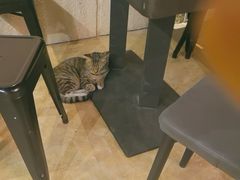 -逃脱反斗城沉浸剧情密室(北京路店)